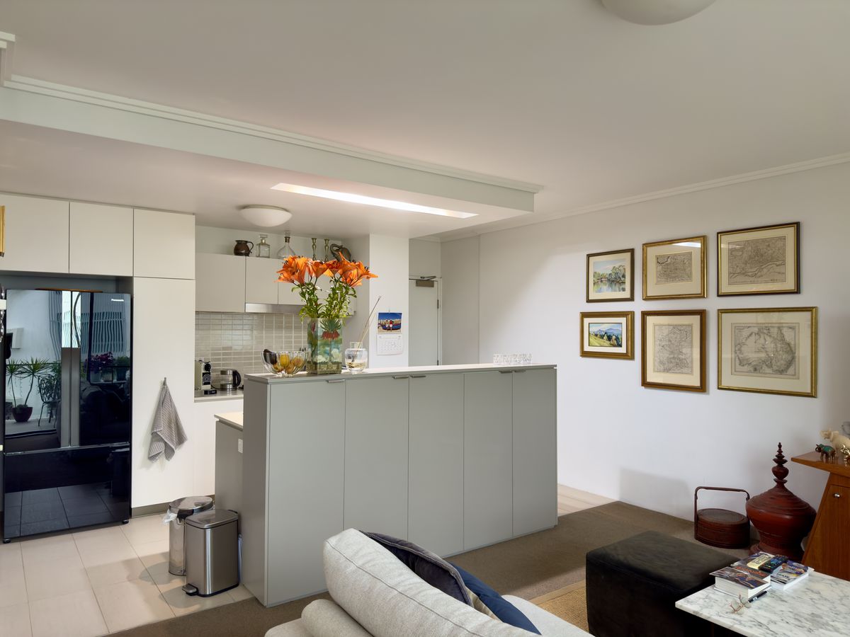 The kitchen of a modern apartment, a common setting for fruit fly problems in shared buildings