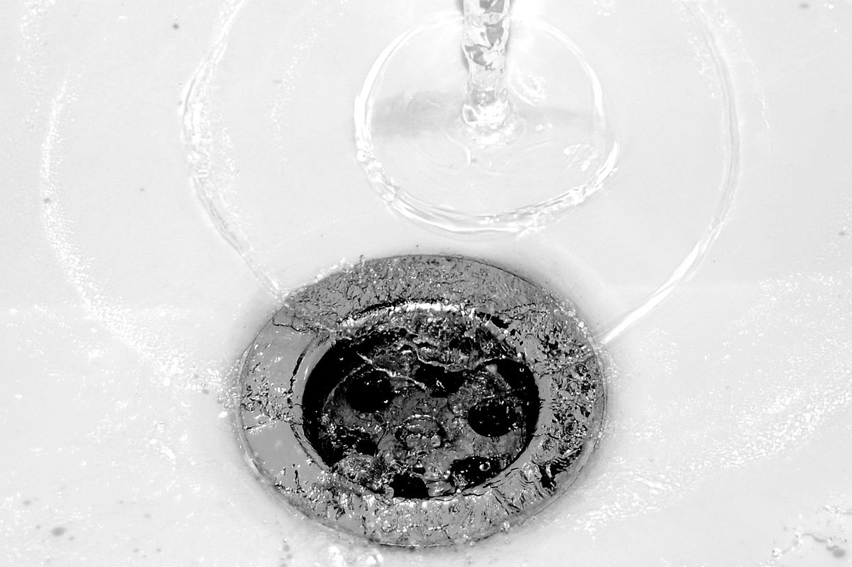Close-up of a sink plughole and drain, where organic gunk builds up and lets drain-dwelling flies breed