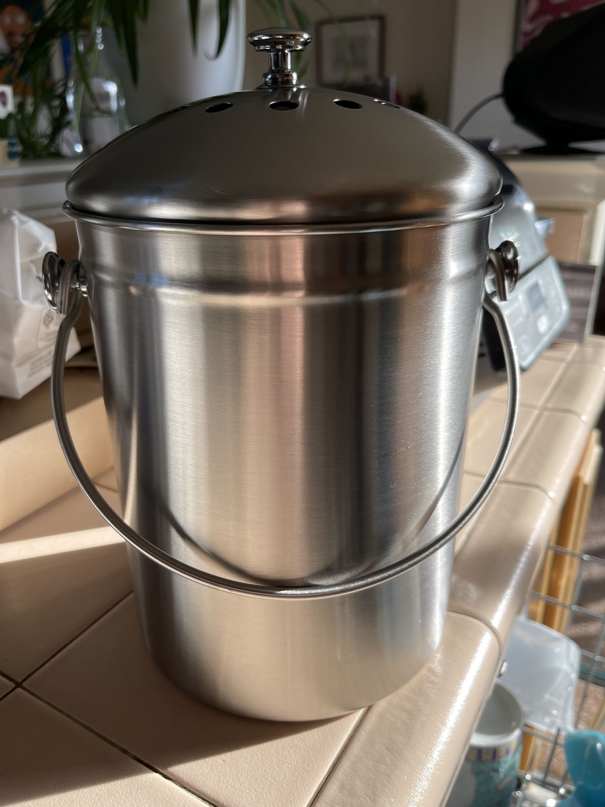 A kitchen countertop compost bin holding food scraps, a prime fruit fly breeding site