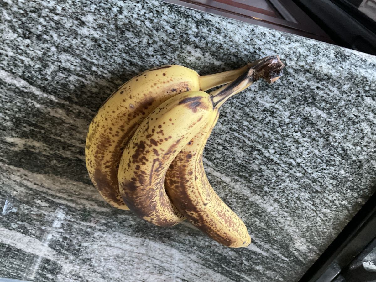 Overripe, brown-spotted bananas on a kitchen counter, a classic fruit fly attractant