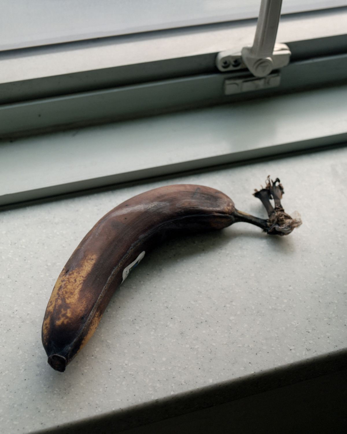 An extremely overripe, spotted banana that lures fruit flies as bait